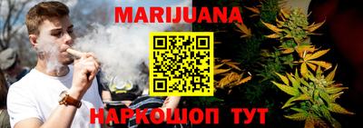 гидра Новозыбков