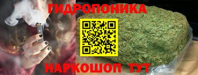 гидра Новозыбков