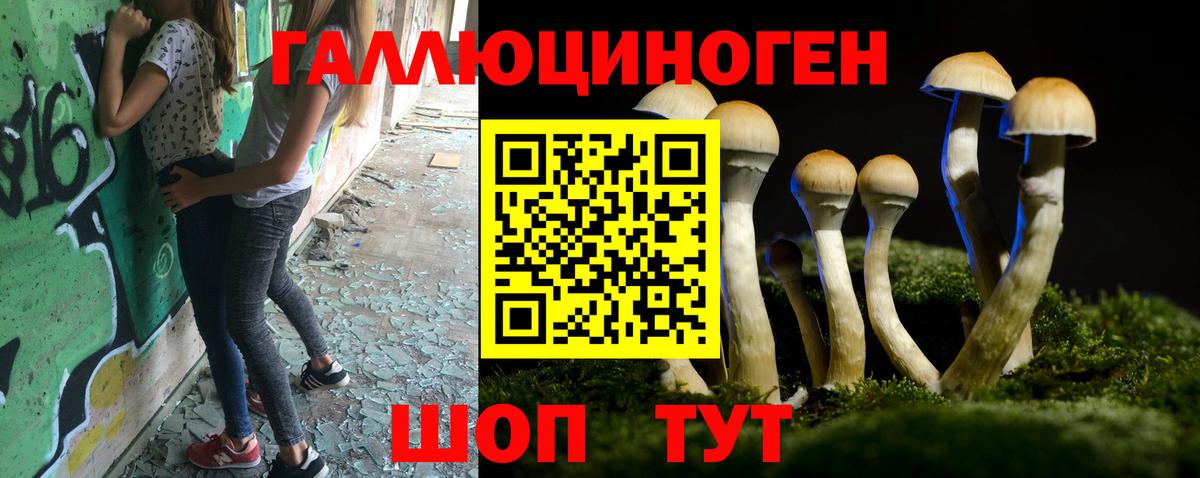 Топки  Галлюциногенные грибы Psilocybine cubensis  Псилоцибиновые грибы Cubensis  Вход с VPN 